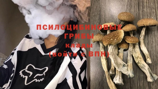 стафф Балахна