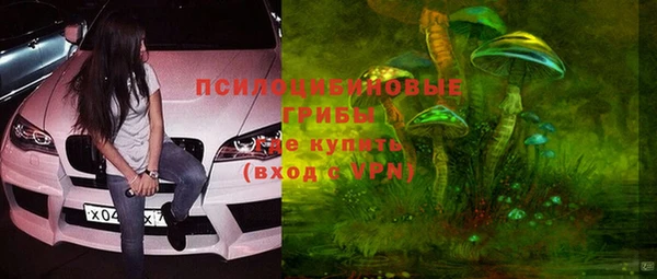 стафф Балахна