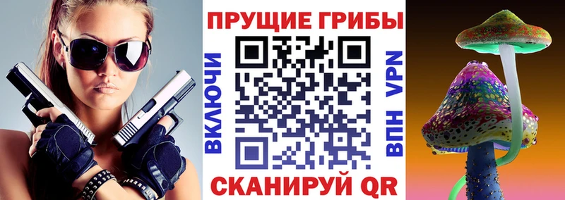 Купить закладки  Сосновоборск  Галлюциногенные грибы MAGIC MUSHROOMS 