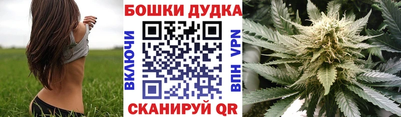 Марихуана план  Купить закладки  Сосновоборск 